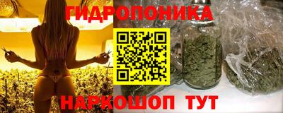 молекула духа Жуковский