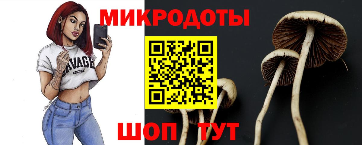 Псилоцибиновые грибы мухоморы Мценск